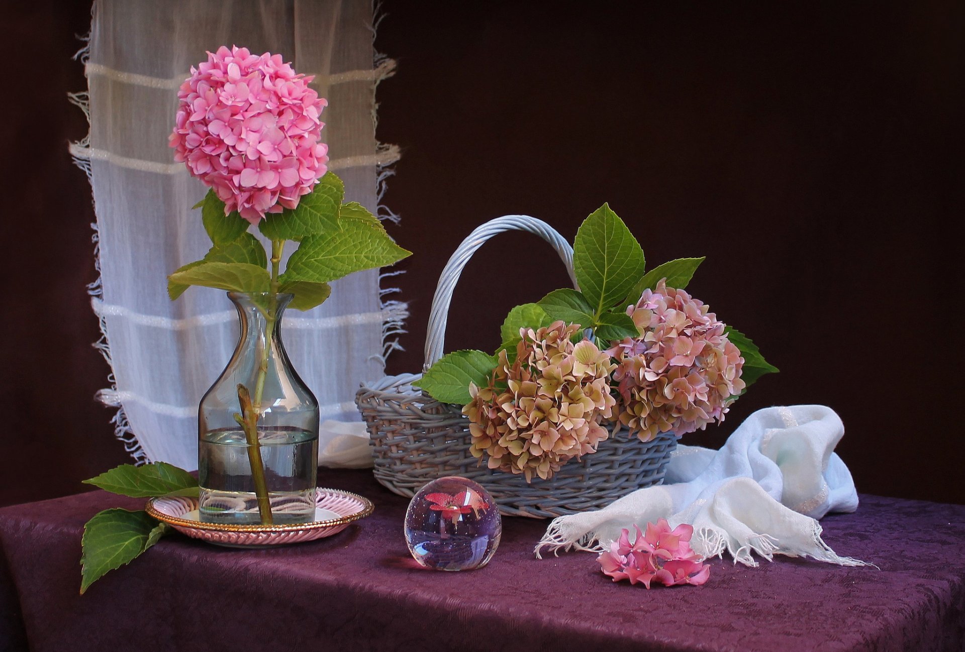 hortensia panier nature morte
