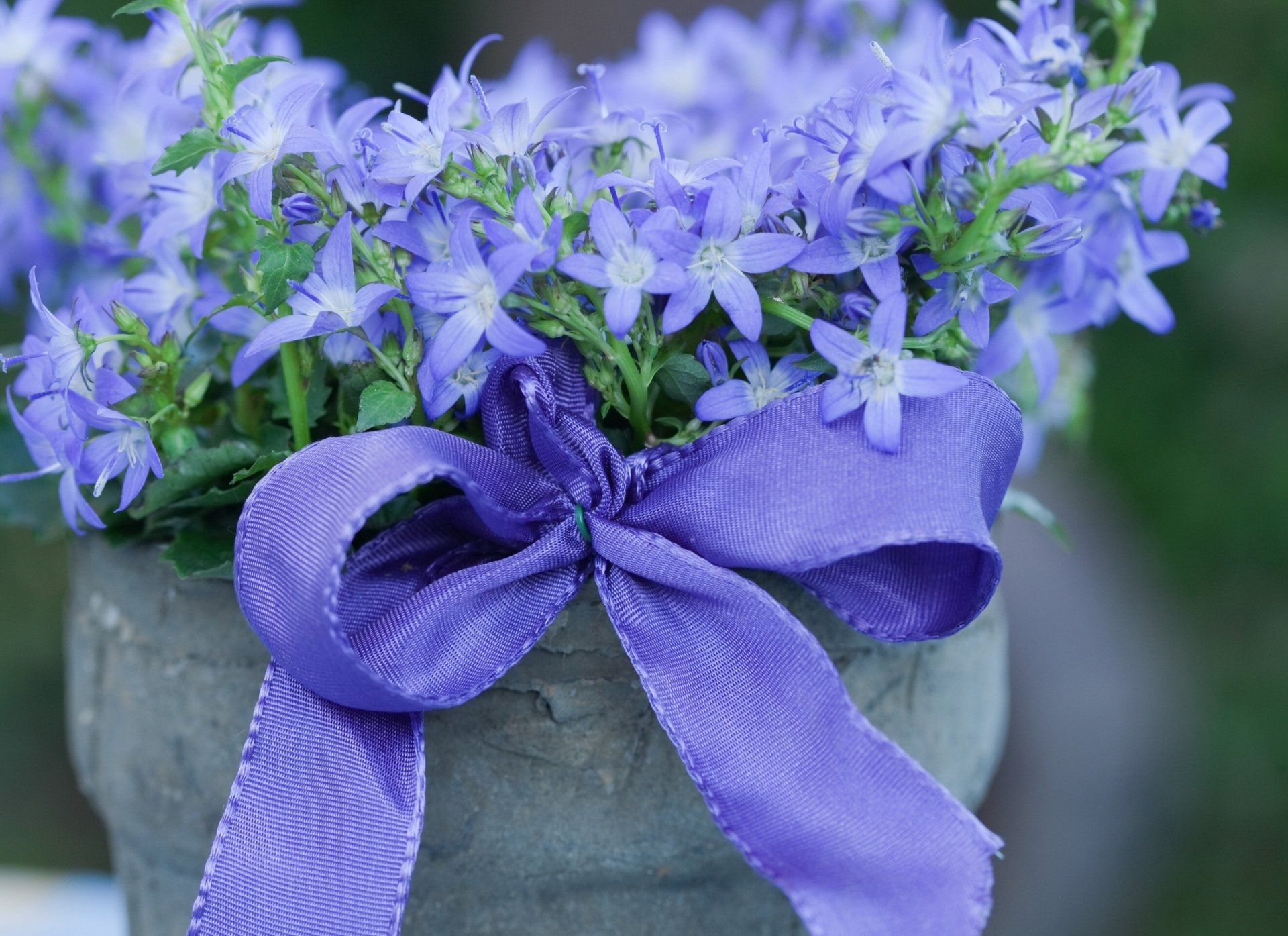 cloches ruban arc pot de fleurs