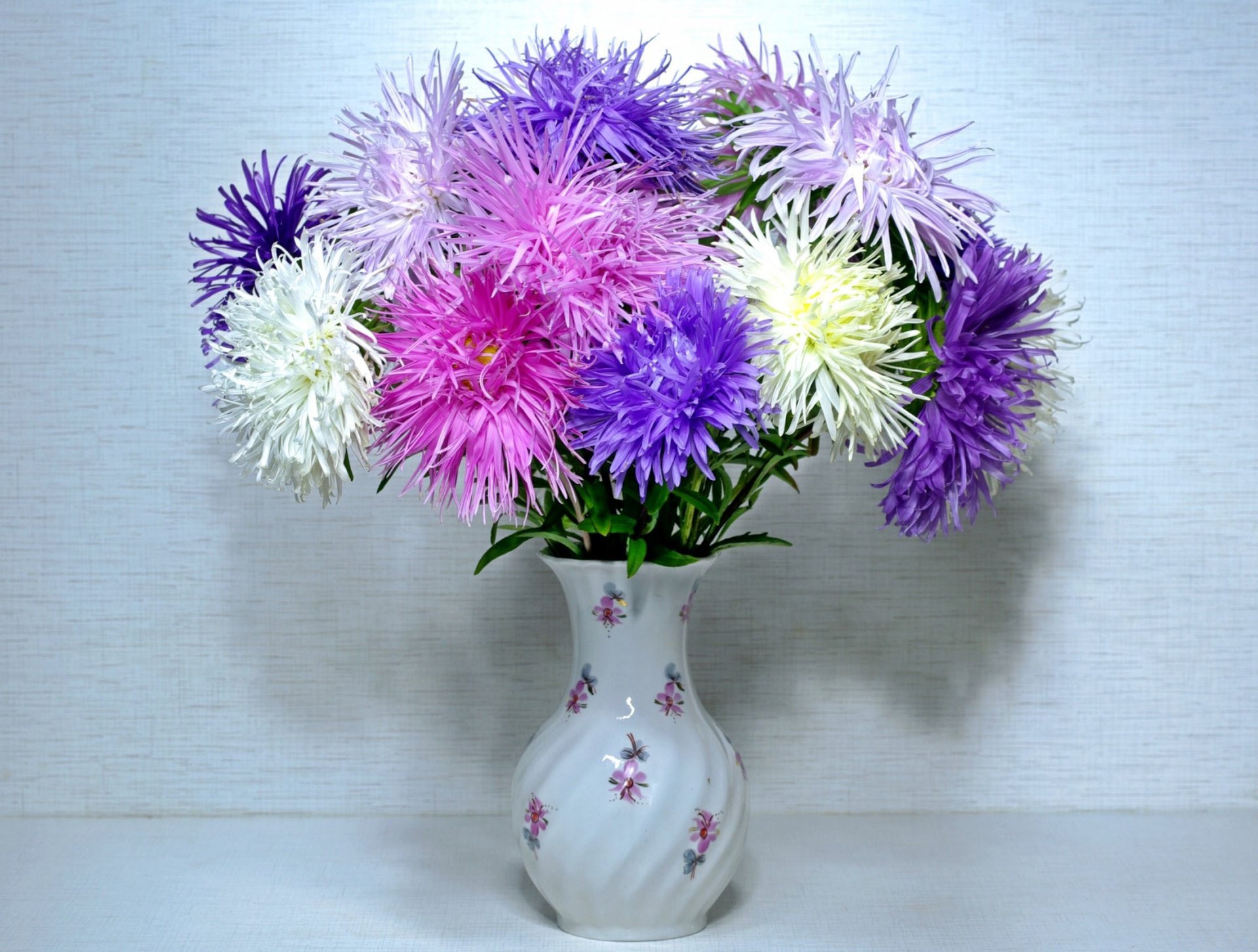 asters fleurs vase fond