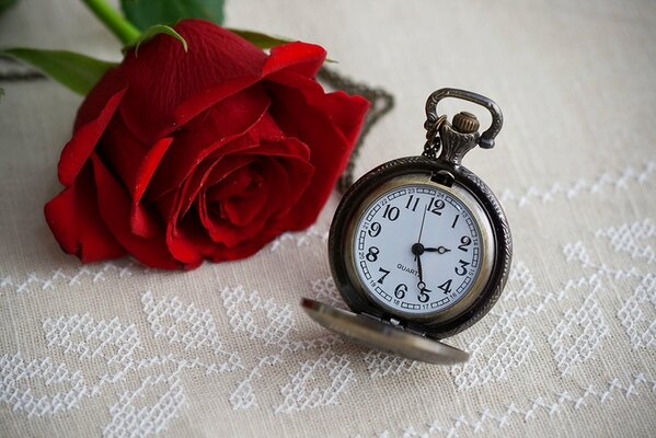 Déjeuner, il est temps pour un bouquet de roses