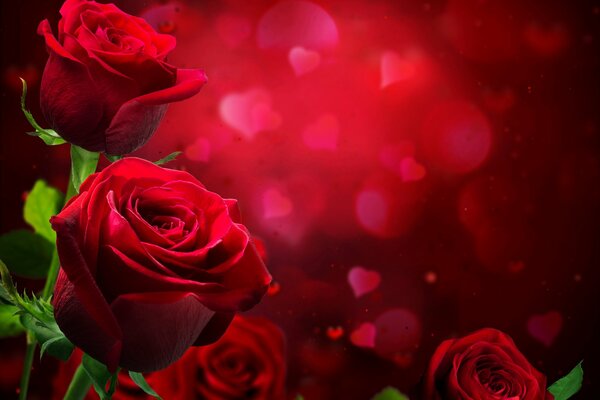 Photo avec des roses Bordeaux