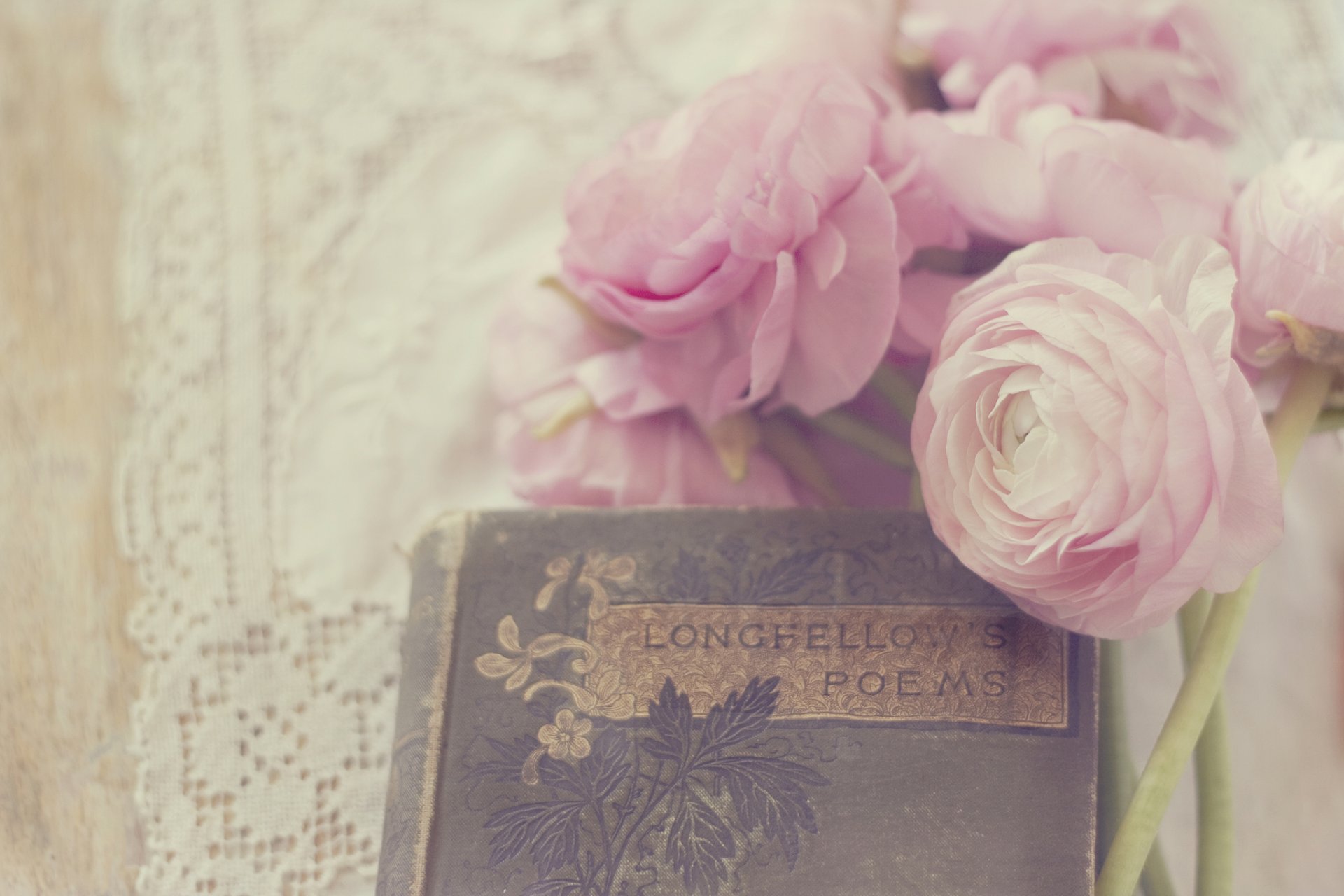 renoncules renoncule fleurs bourgeons pétales blanc rose livre poèmes