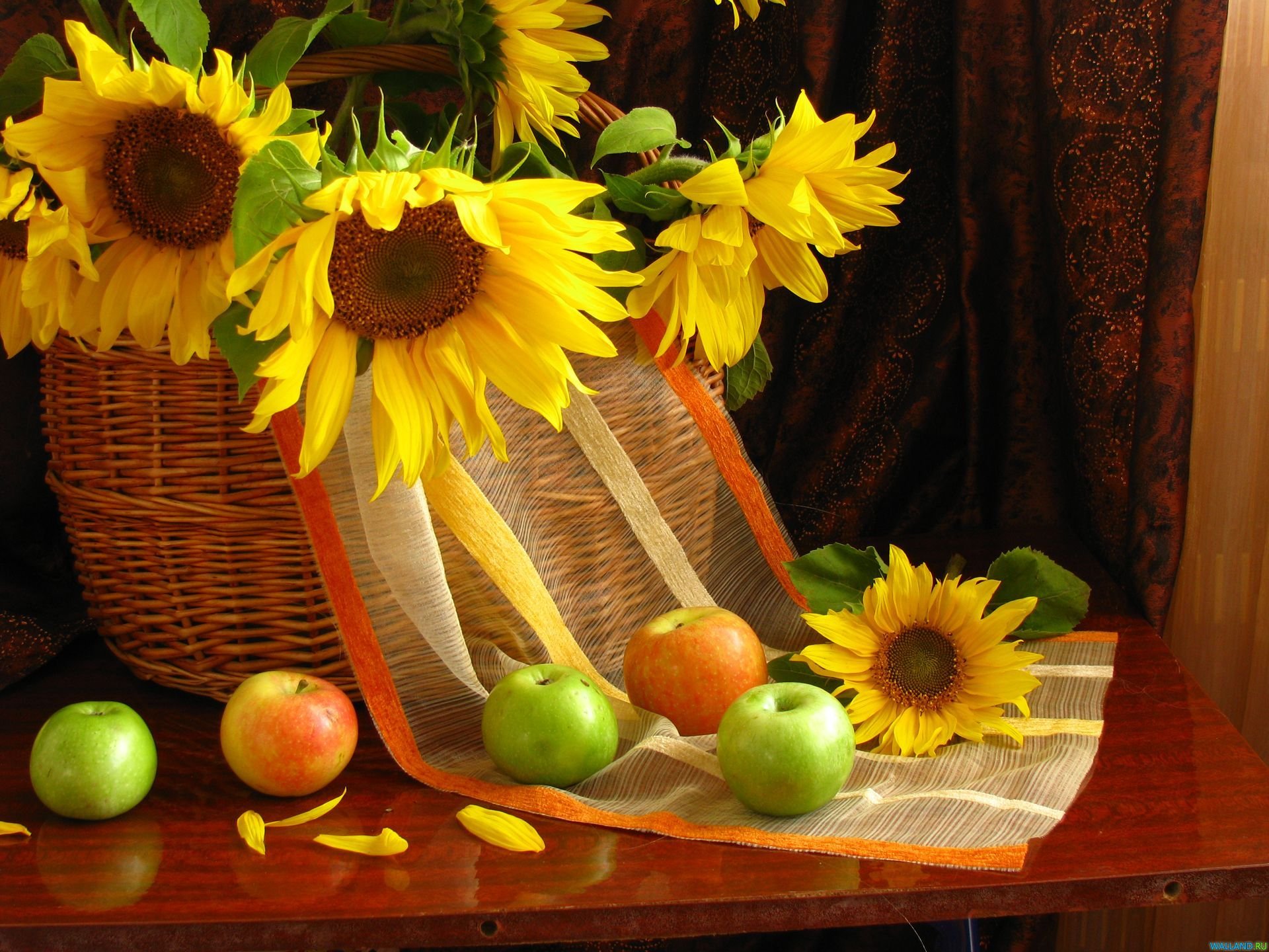 tournesols pommes nature morte fruits pétales fleurs