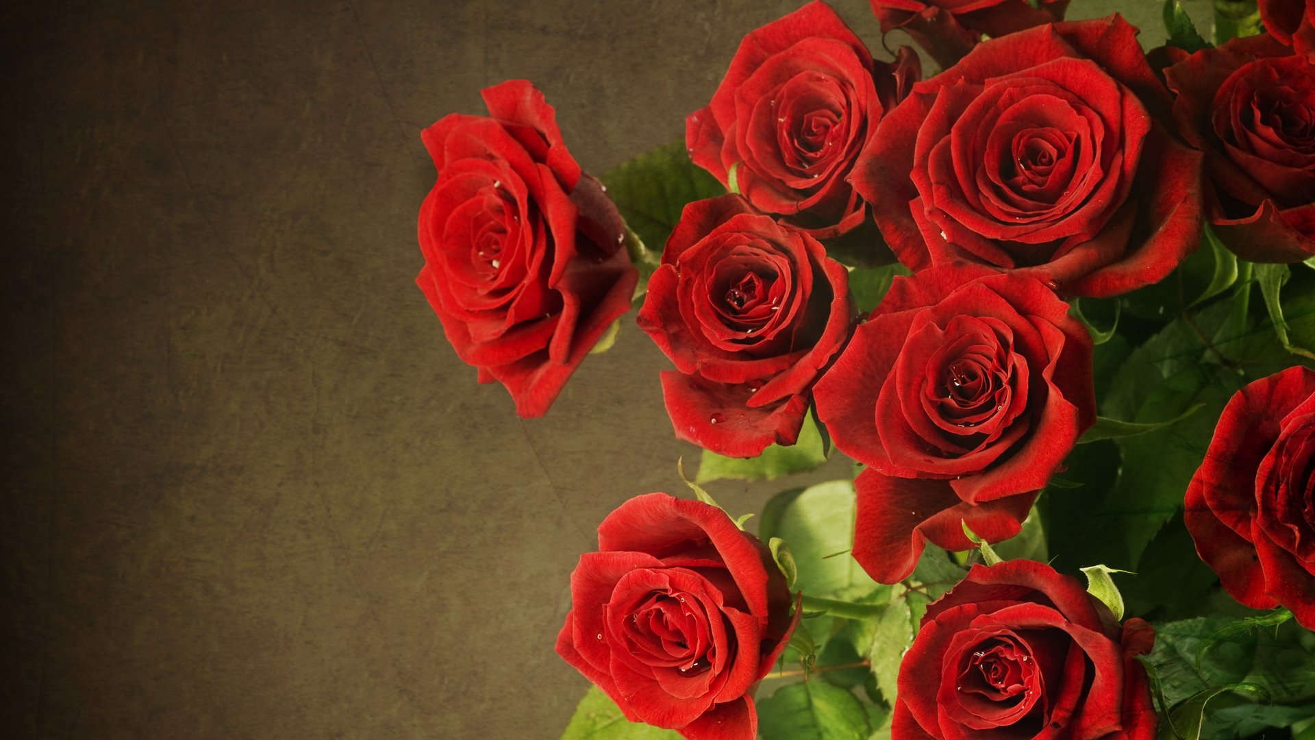 fleurs roses rouges
