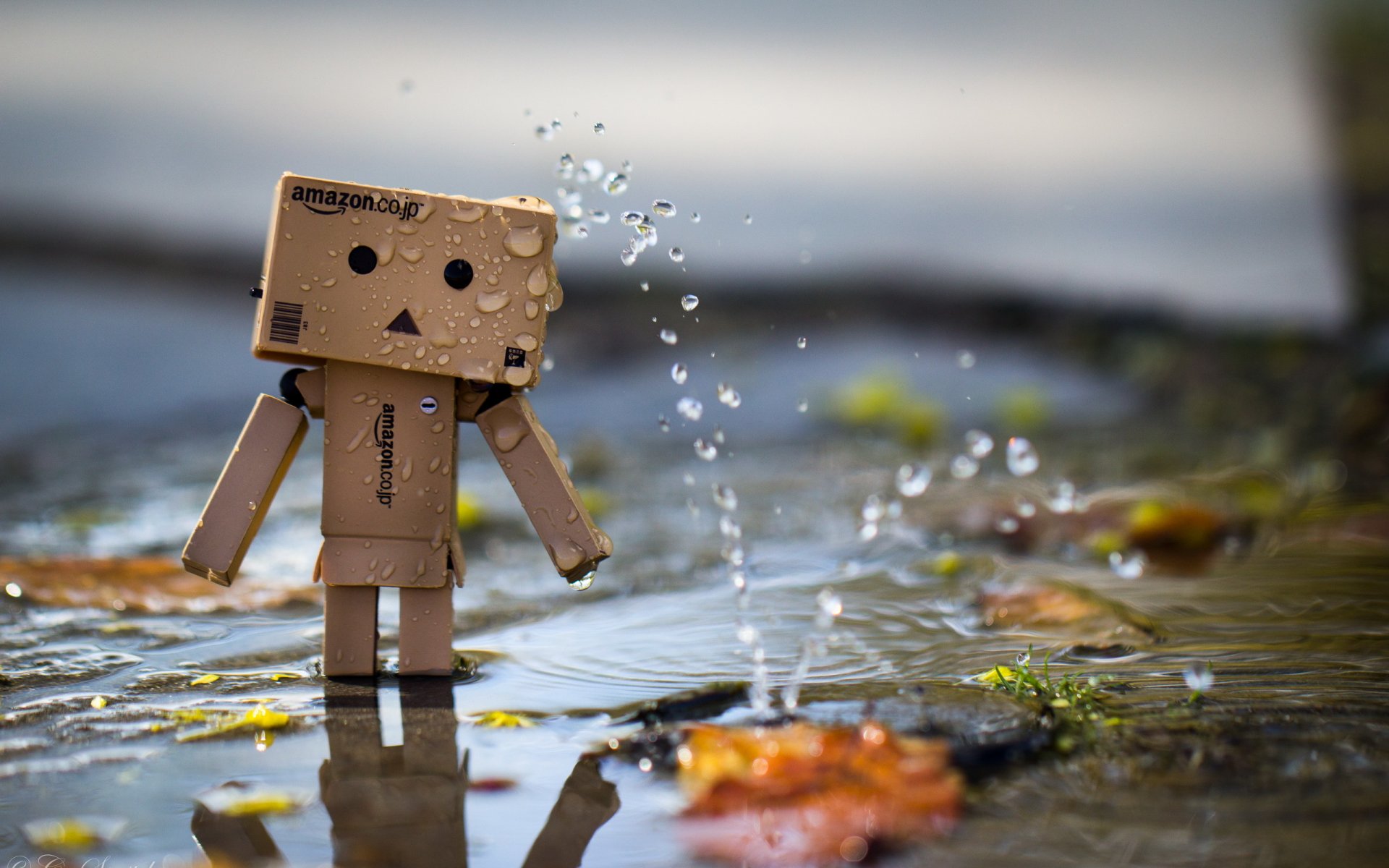 amazon boîte fontaine