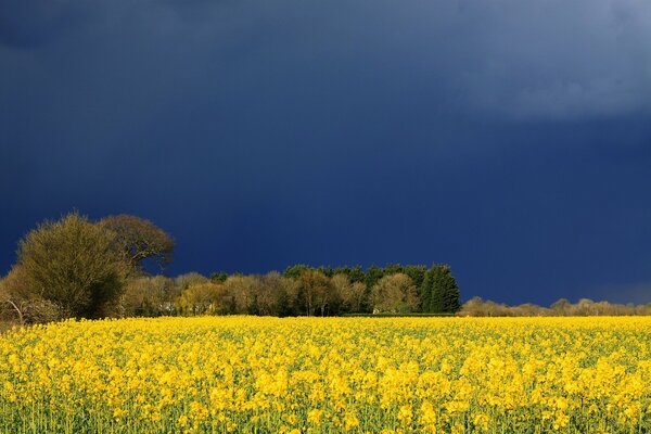 Images du champ avant l orage