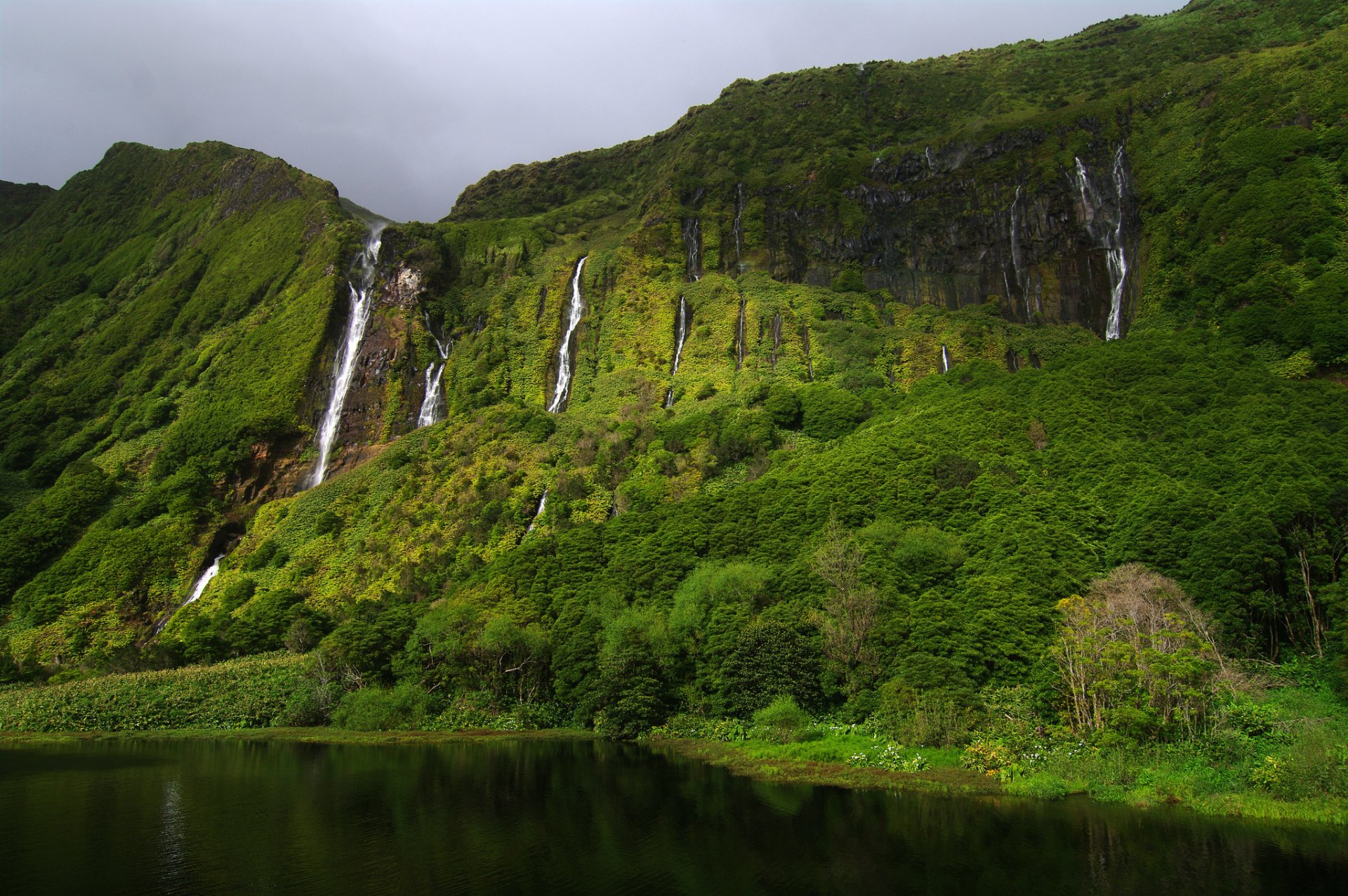 portugal açores flores island fajanzinha roches verdure cascades printemps gregor samsa photo