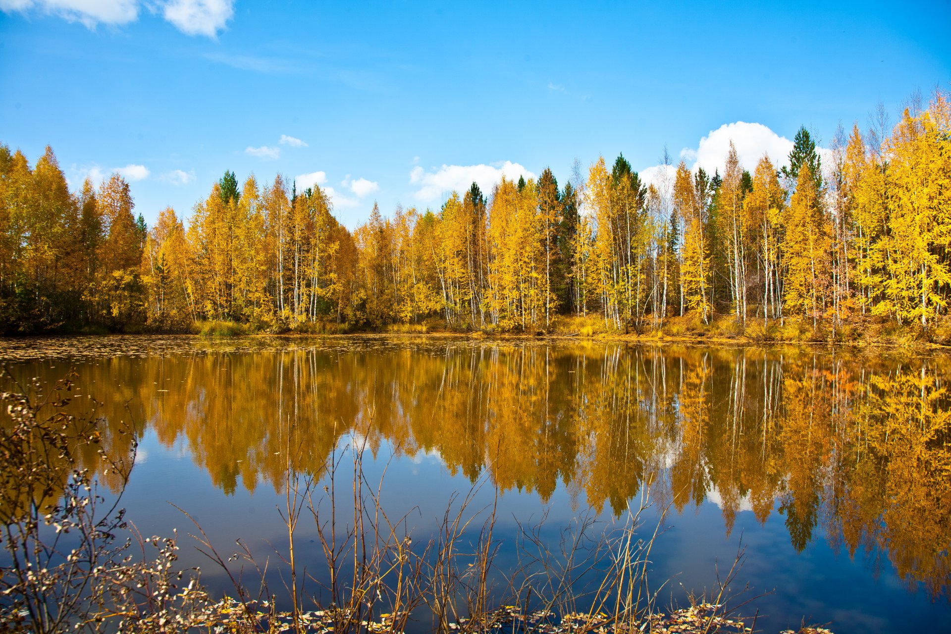nature automne forêt ciel lac