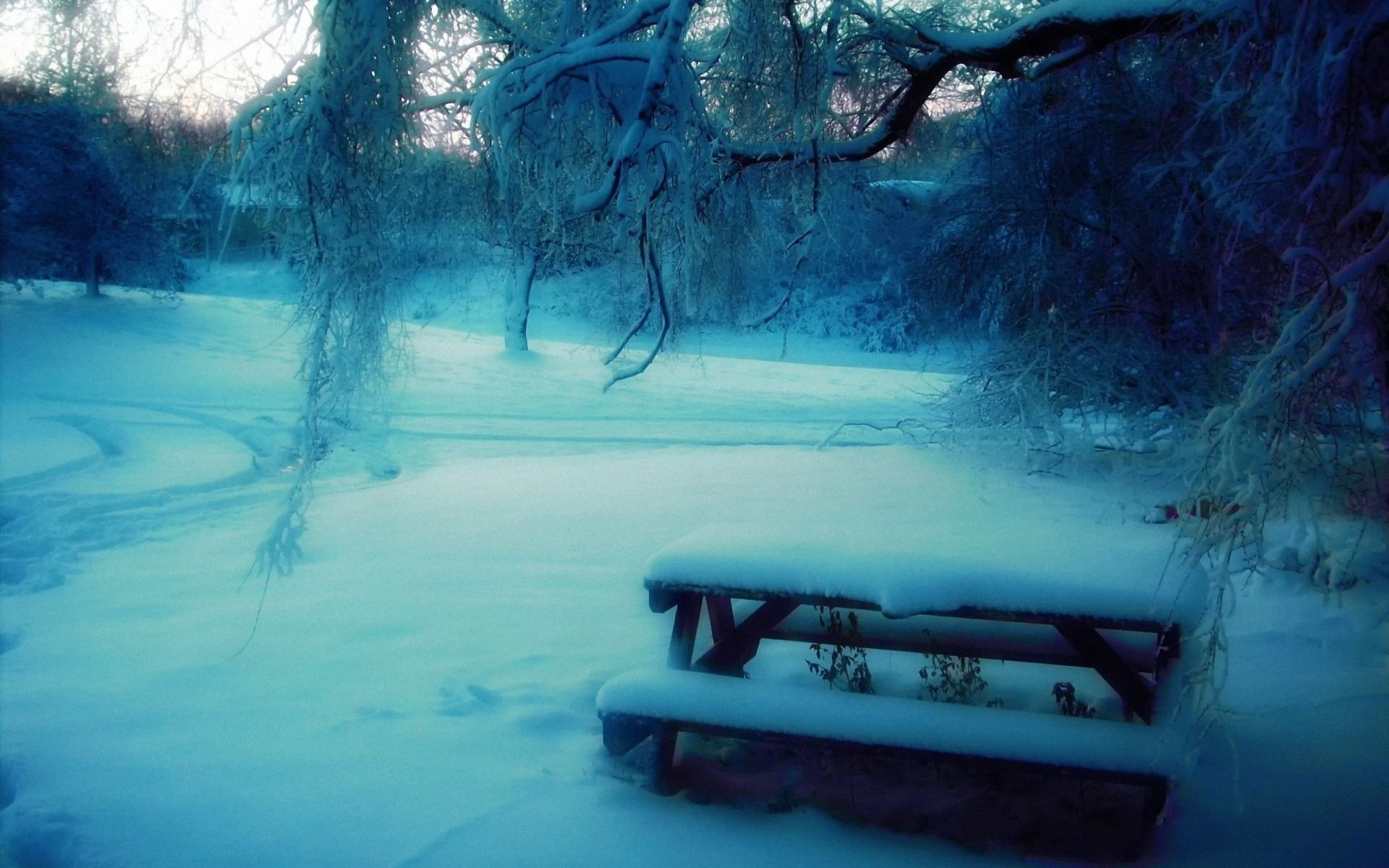hiver neige parc arbres banc table flou