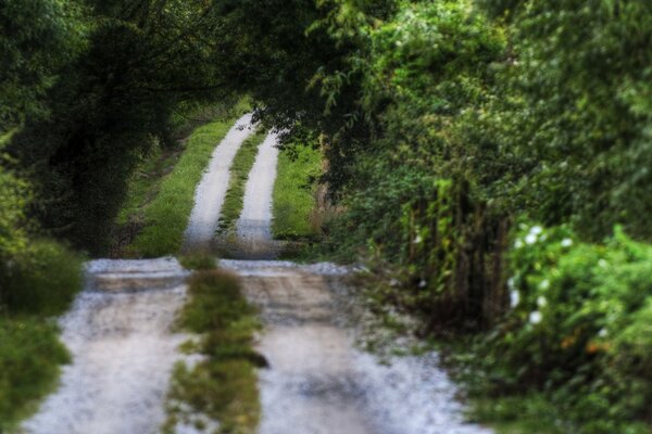 Route romantique au milieu d un paysage pittoresque