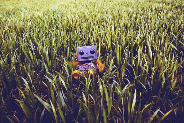 Robot jouet assis sur l herbe des champs