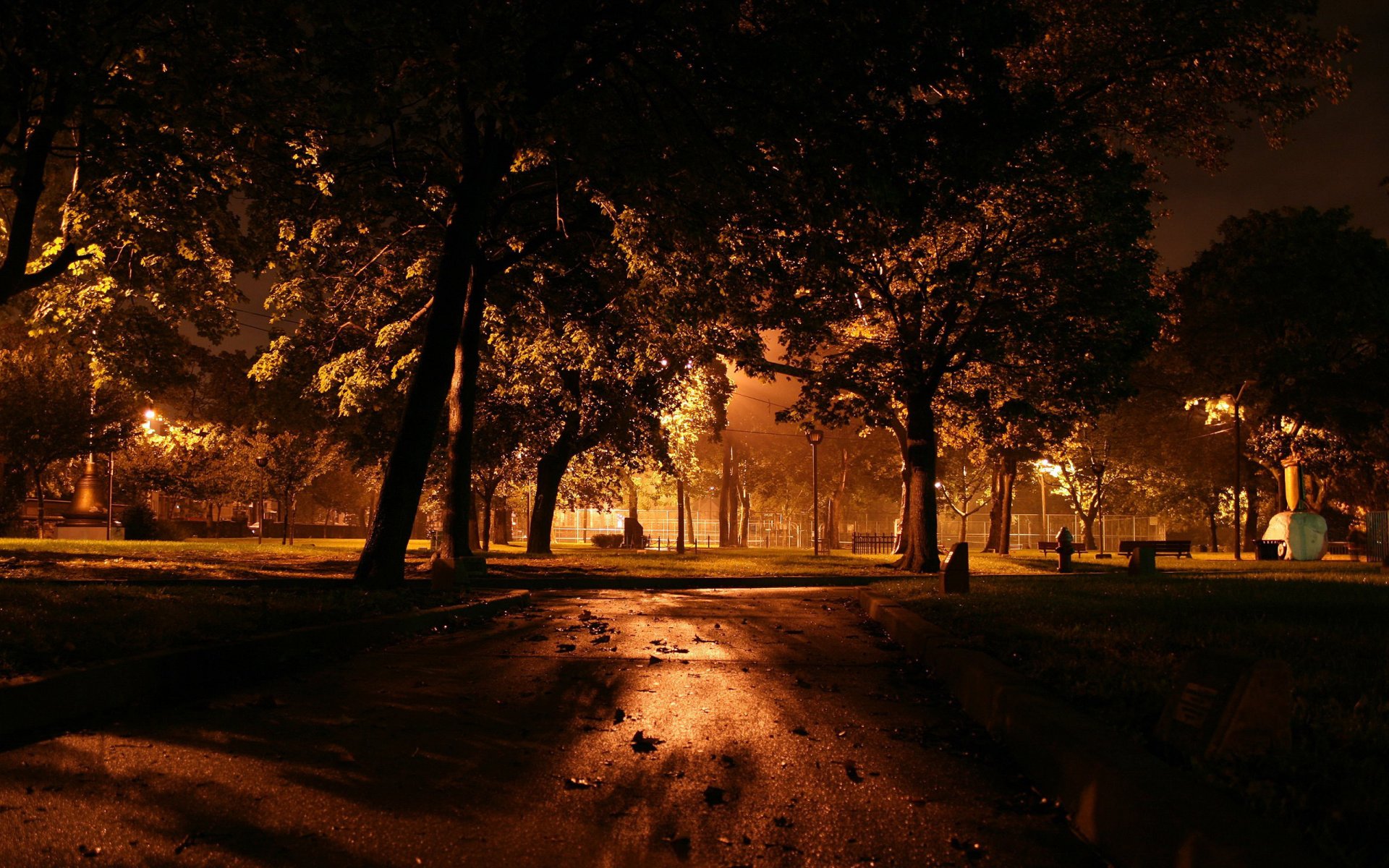nuit arbres lanternes