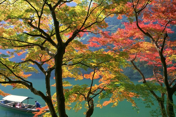 Arbres d automne sur fond de bateau flottant