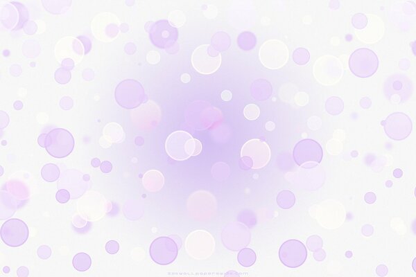 Cercles violets et blancs sur fond blanc