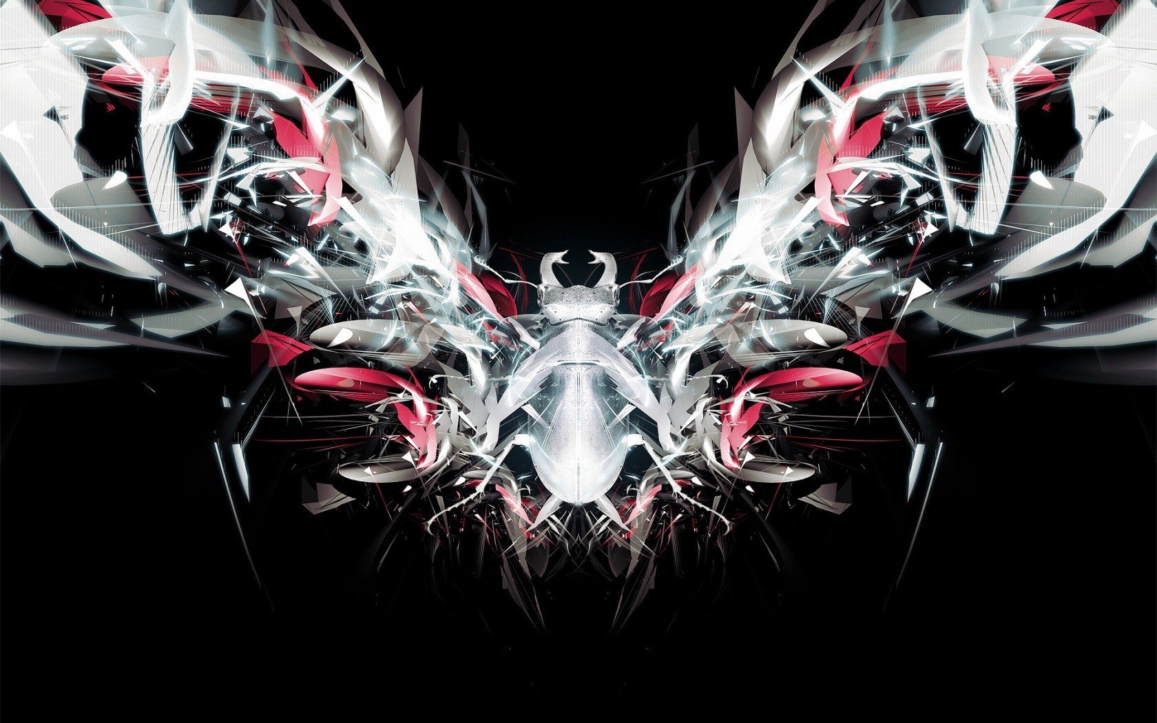 coléoptère morceaux