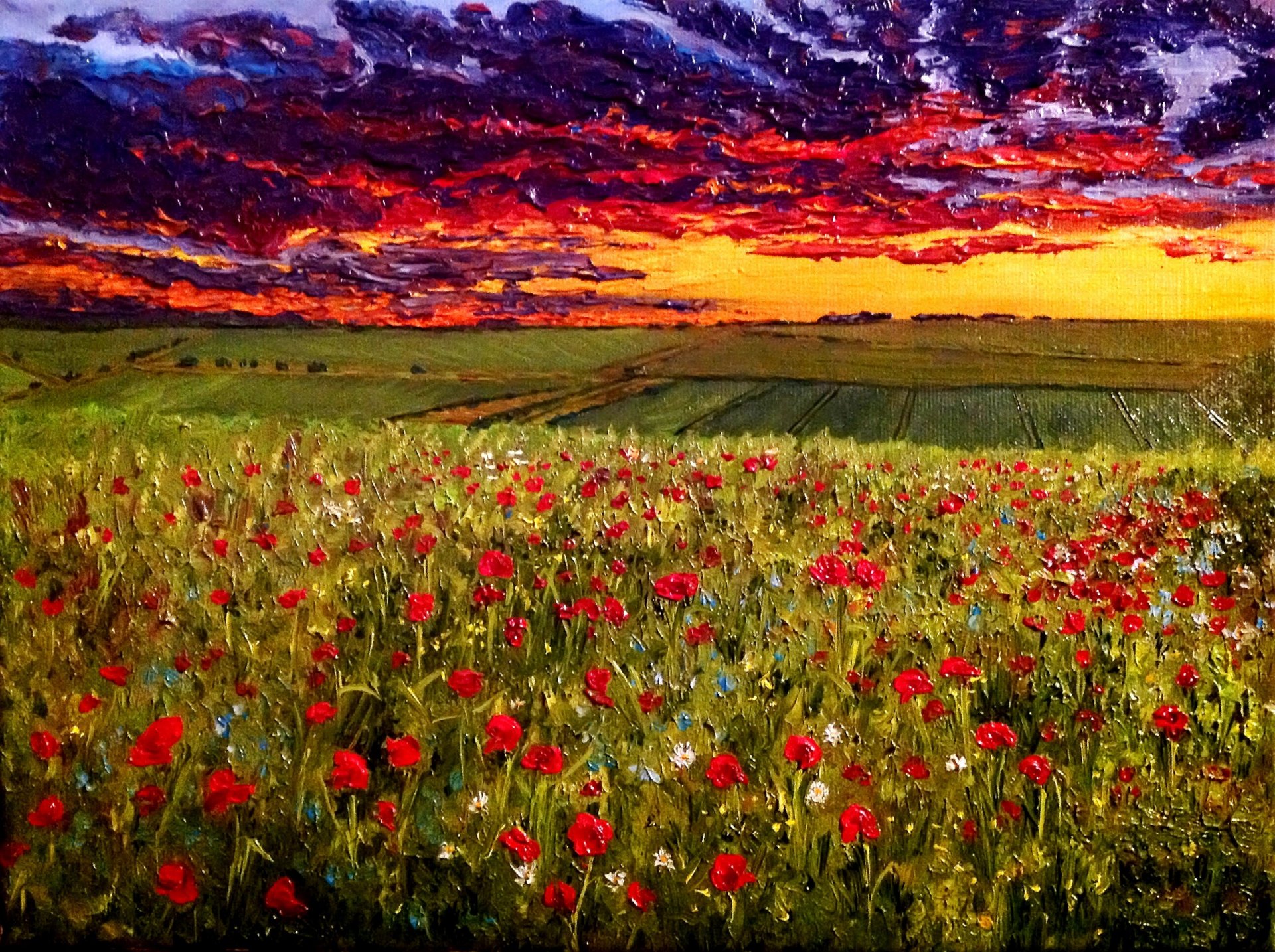 peinture ciel du soir au-dessus du champ de pavot huile sur toile peintre o. katz