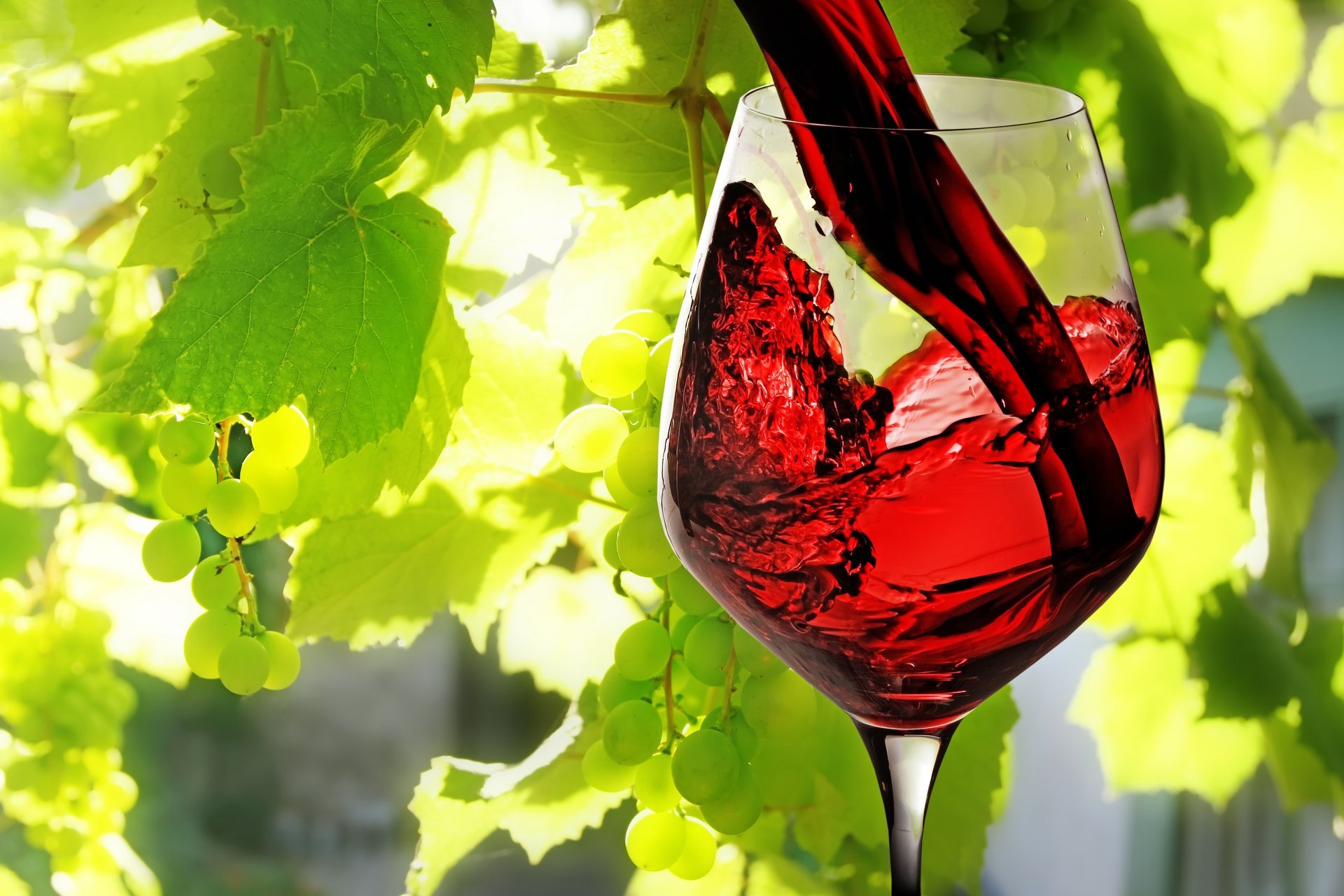 vin rouge versé verre feuilles raisin
