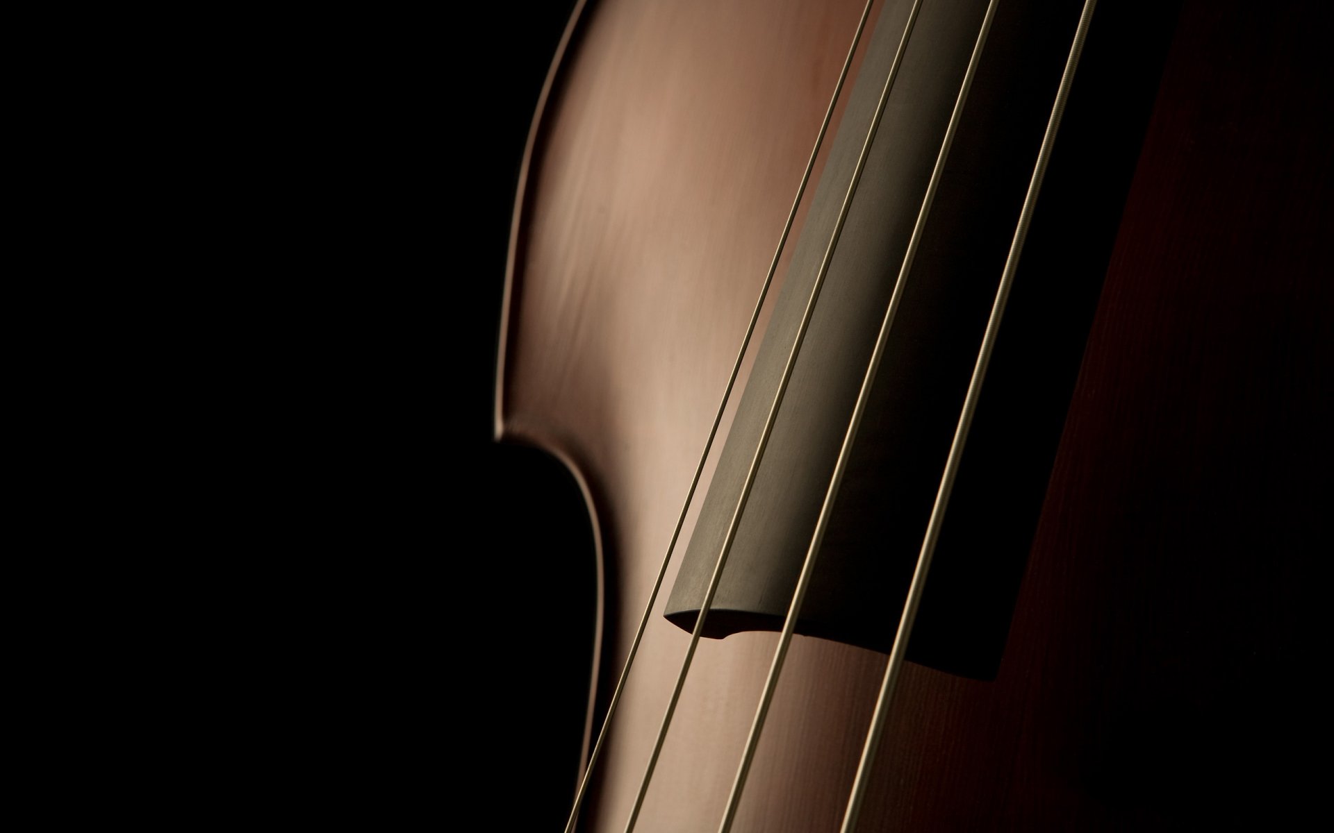 instruments de musique macro musique photo macro