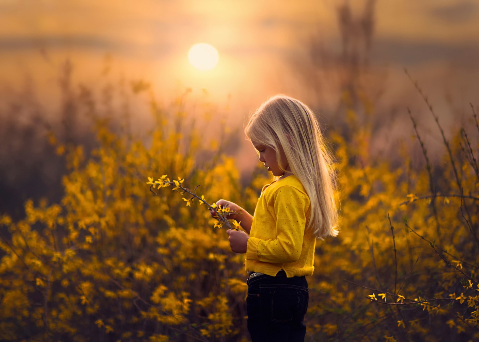 jaune printemps fille brindille soleil
