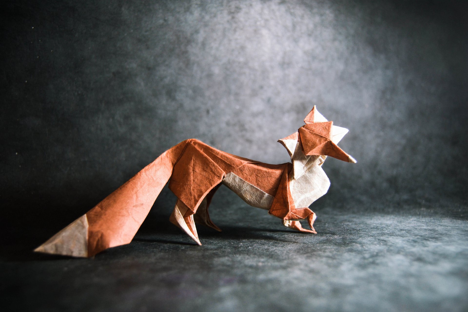 origami renard queue gris