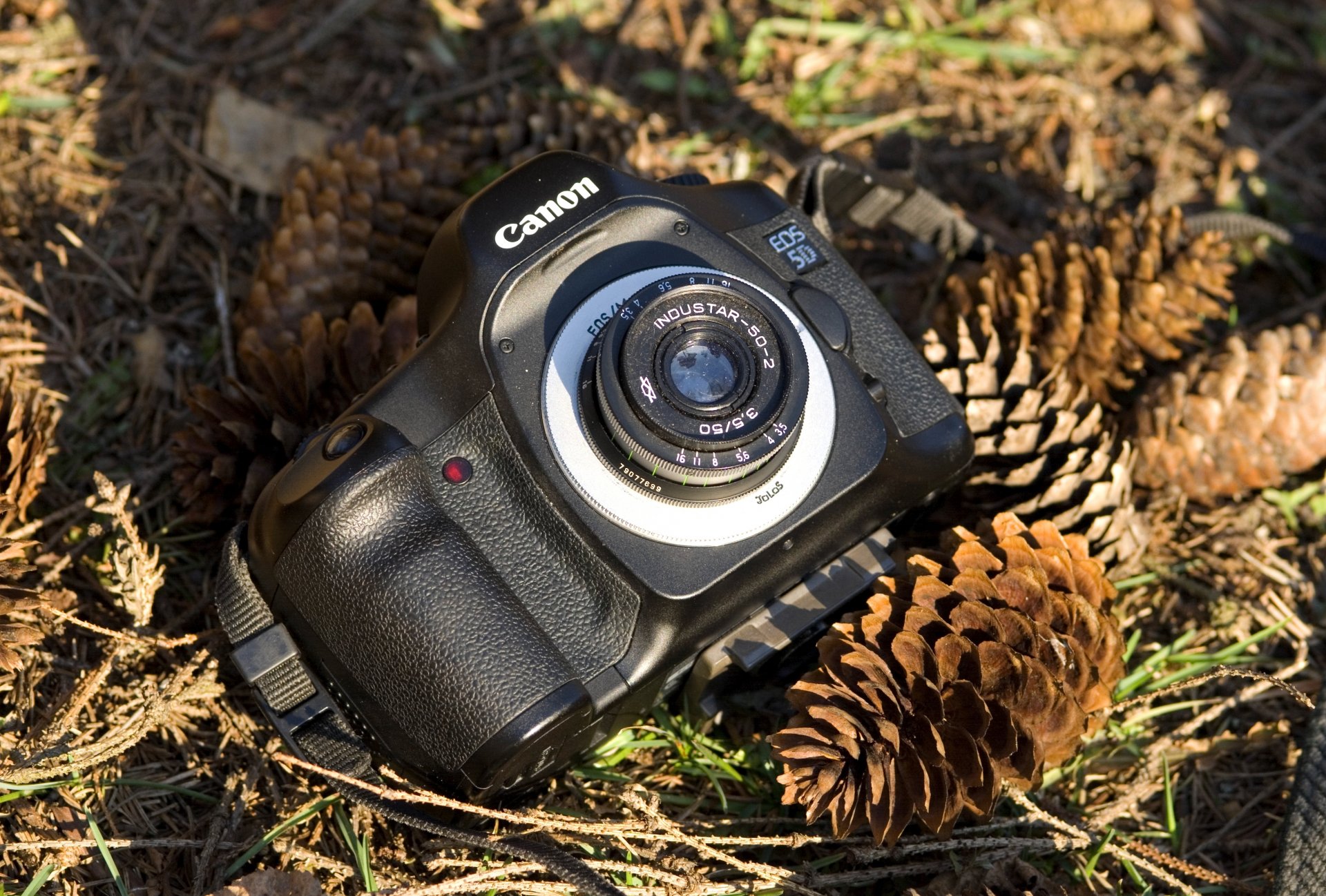 appareil photo canon bosses fond flou