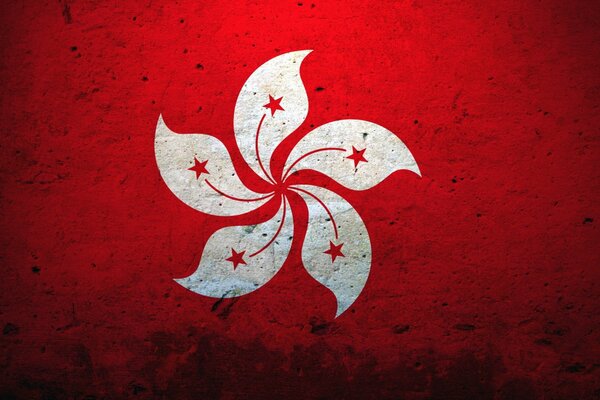 Image du blason-fleur sur le mur rouge