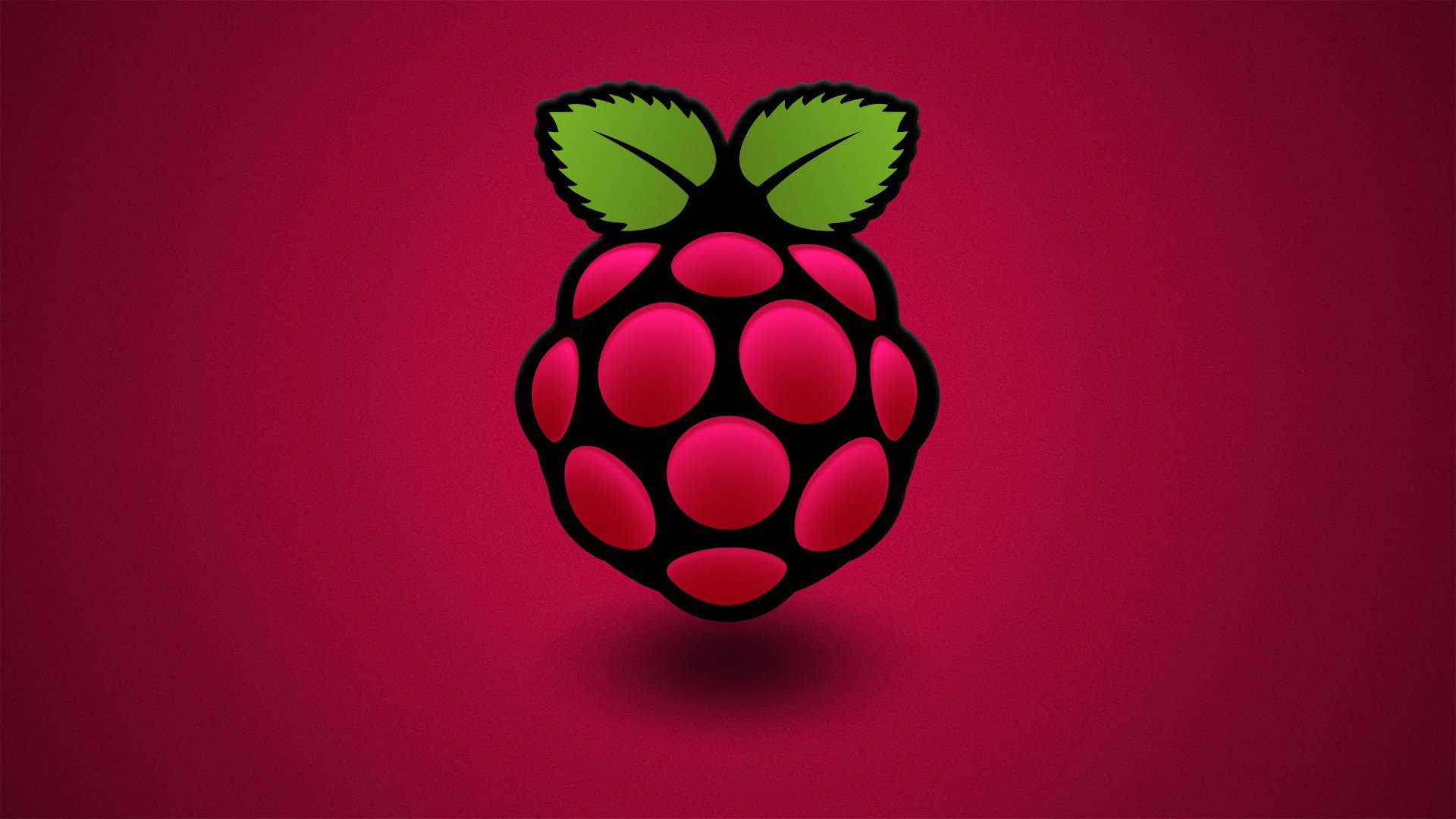 baie framboise feuille couleur ordinateur raspberry pi