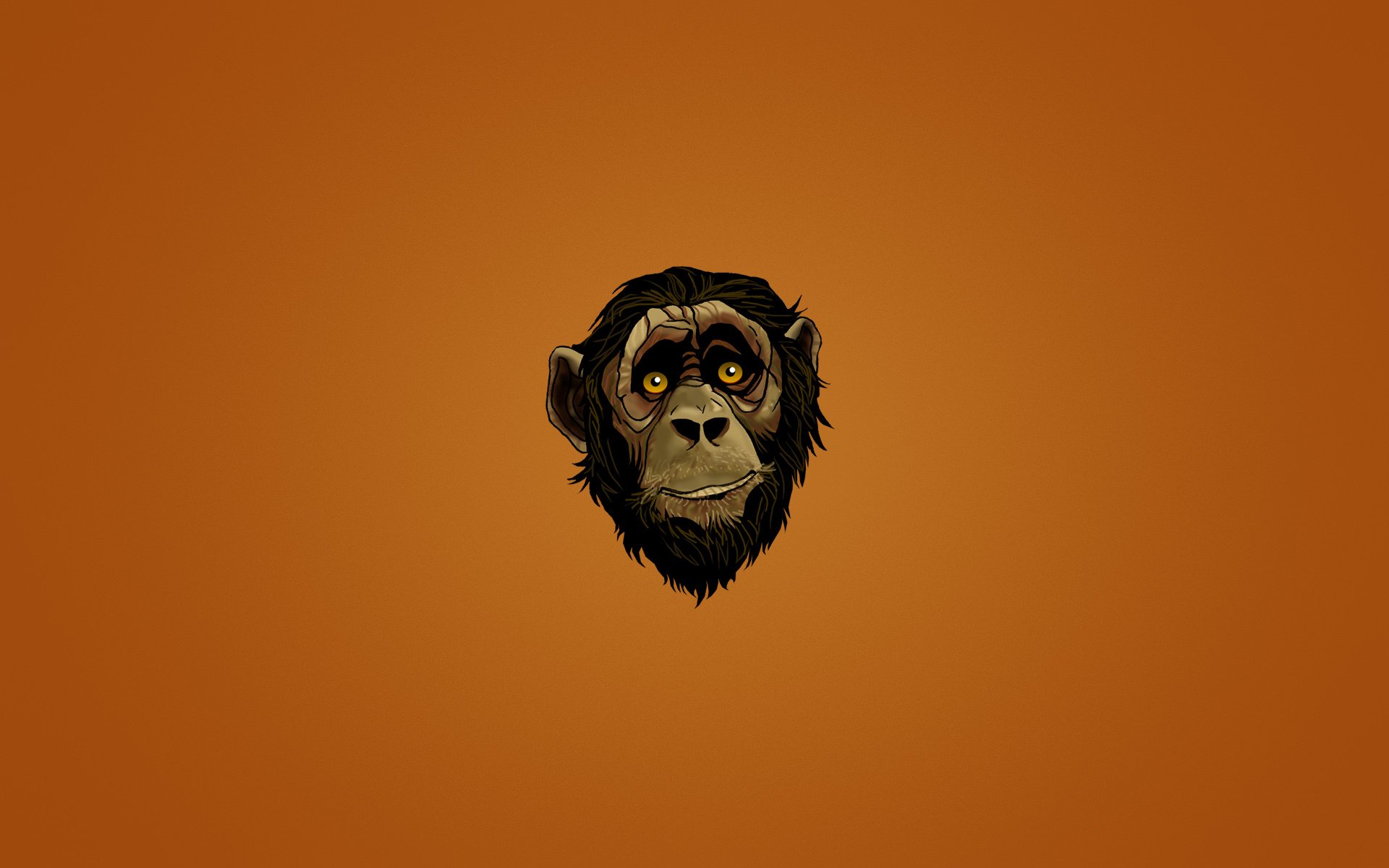 singe museau tête visage regard fond sombre minimalisme