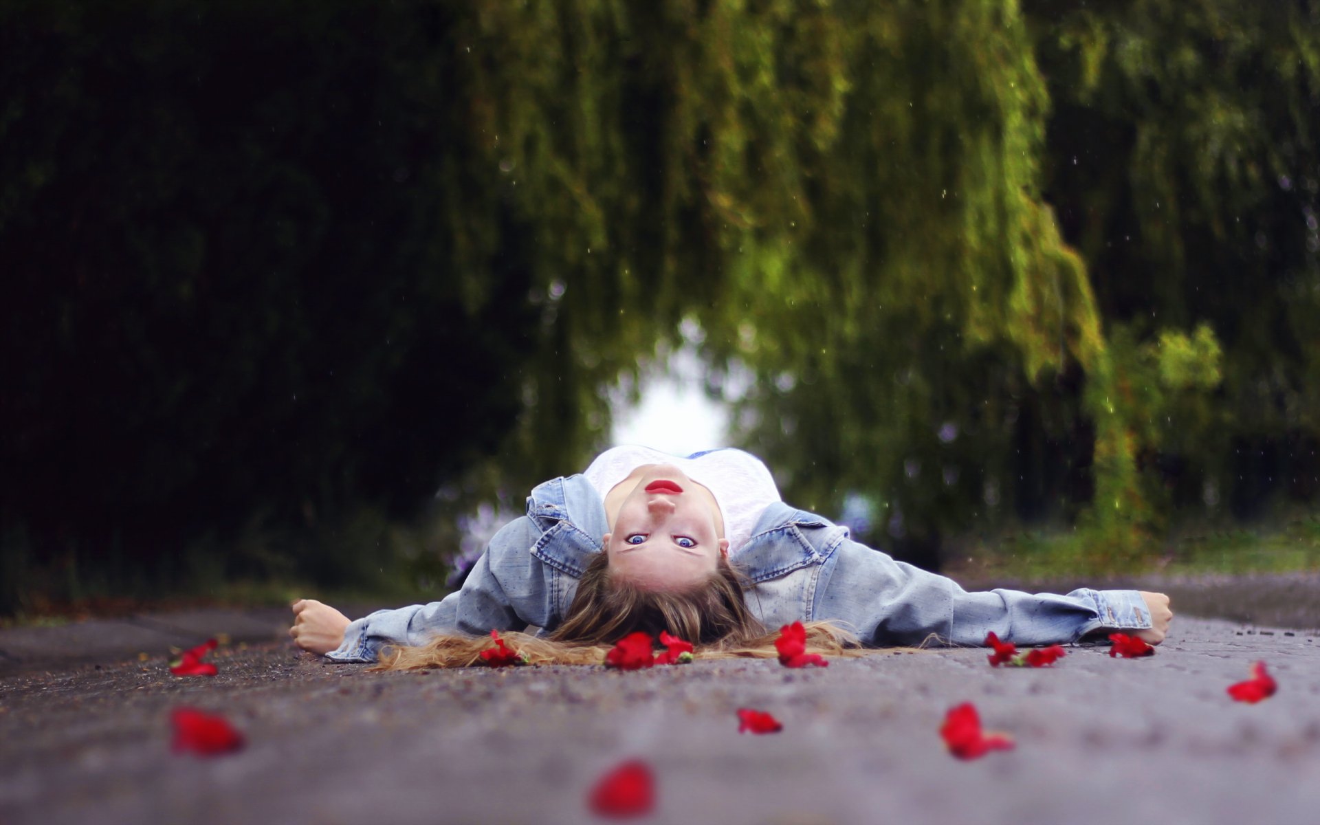 la jeune fille la route les fleurs la situation