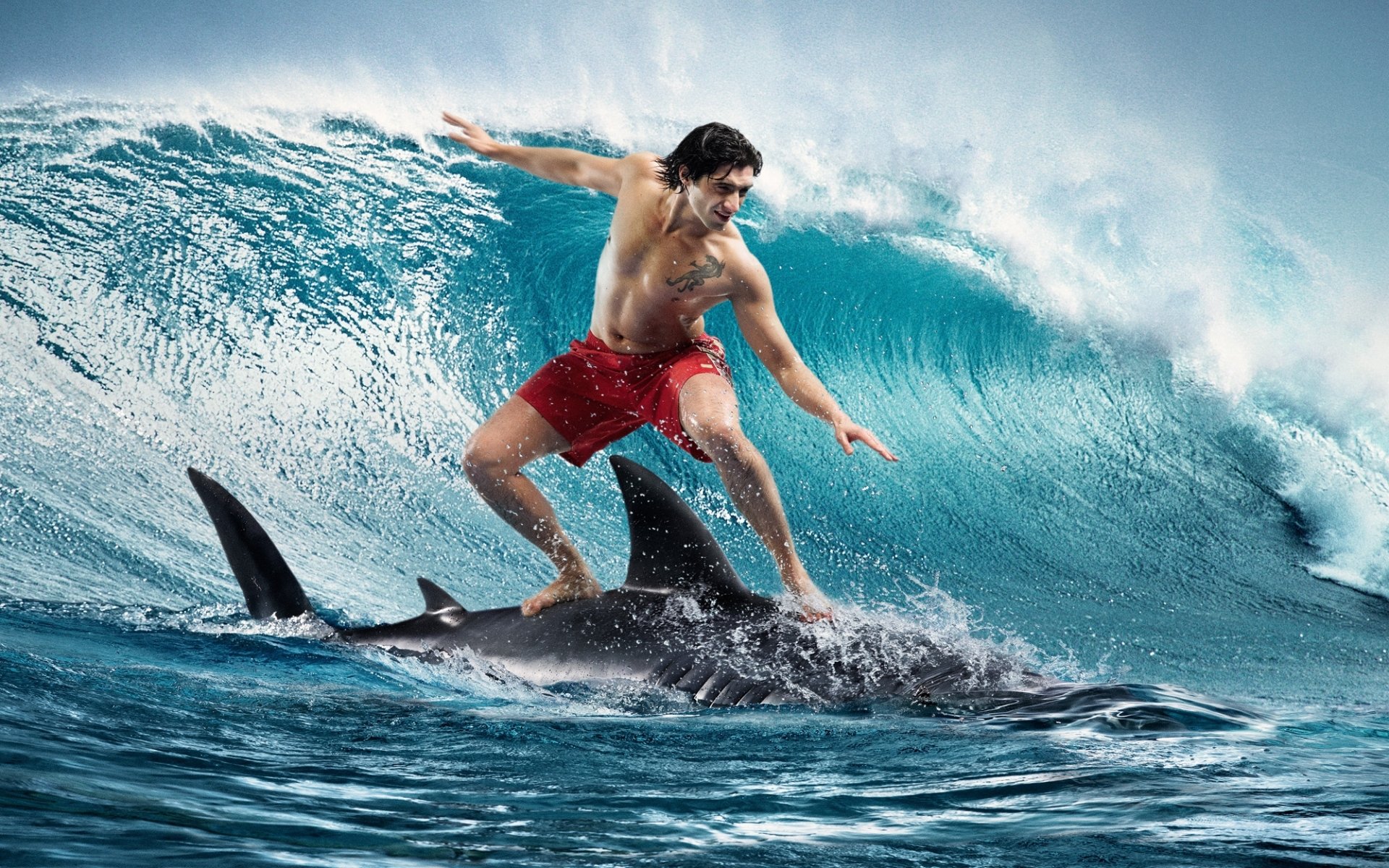 le gars le requin le surf la vague de