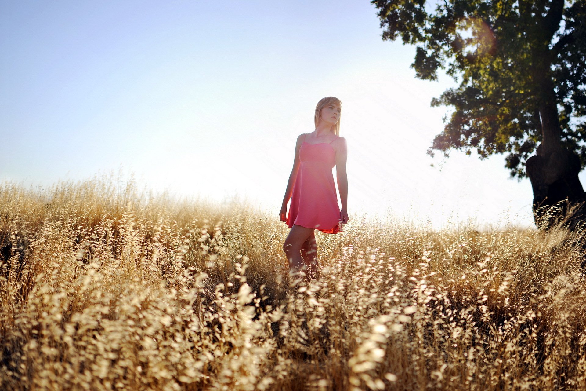la jeune fille l été la lumière le champ