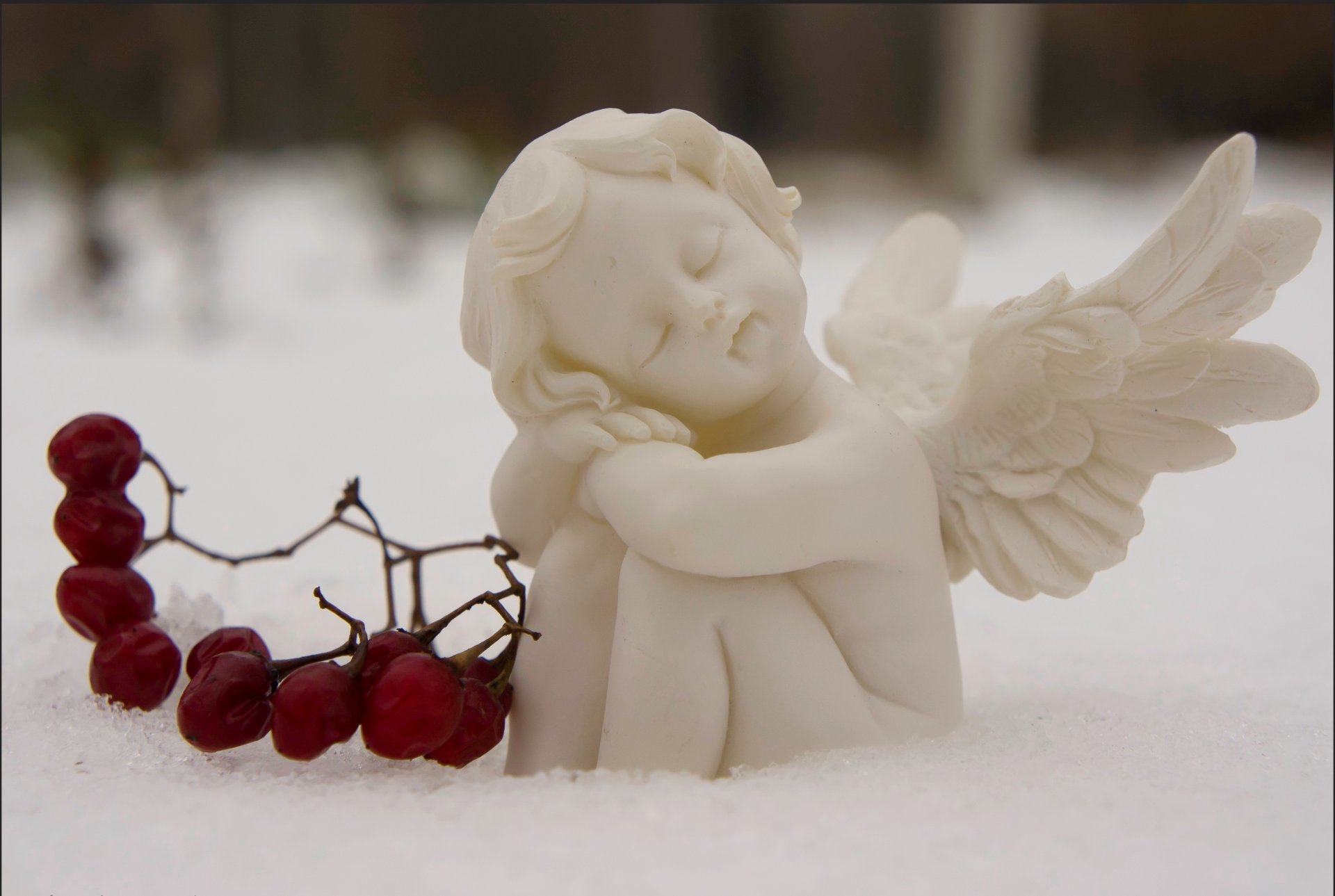 parc lefortovsky moscou ange sommeil baies neige