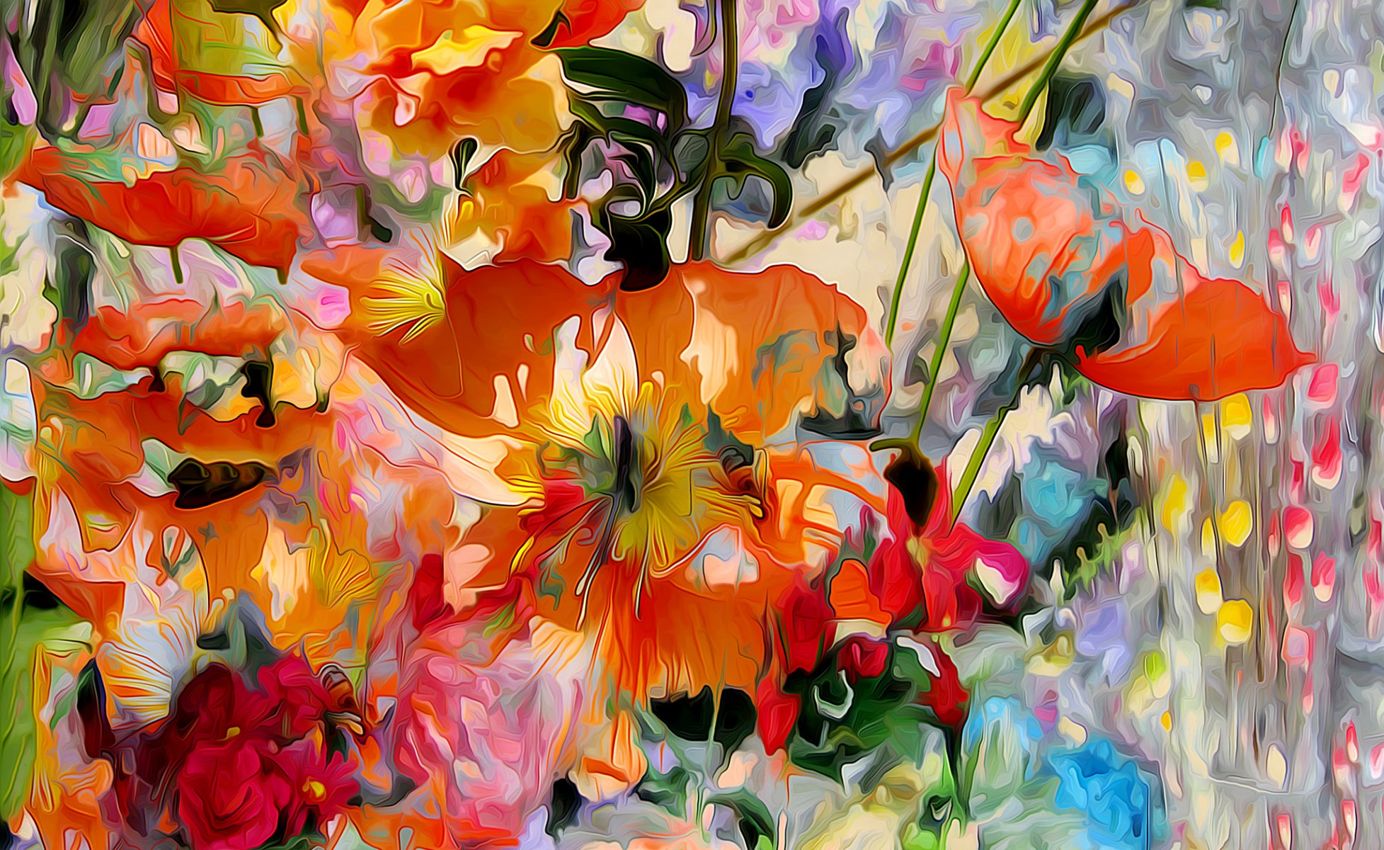 les fleurs le coquelicot pétales prairie jardin