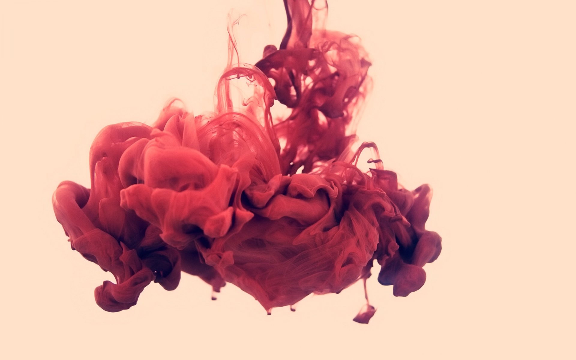 liquide rouge forme fond