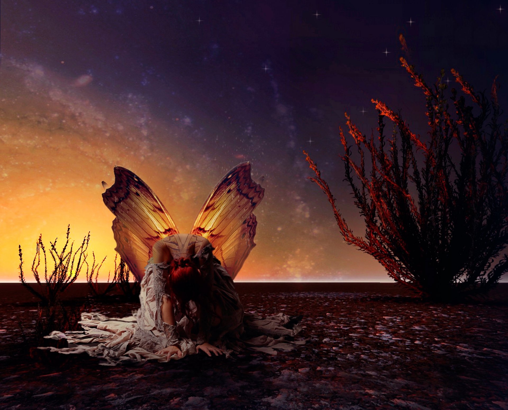 la jeune fille les ailes le papillon l art