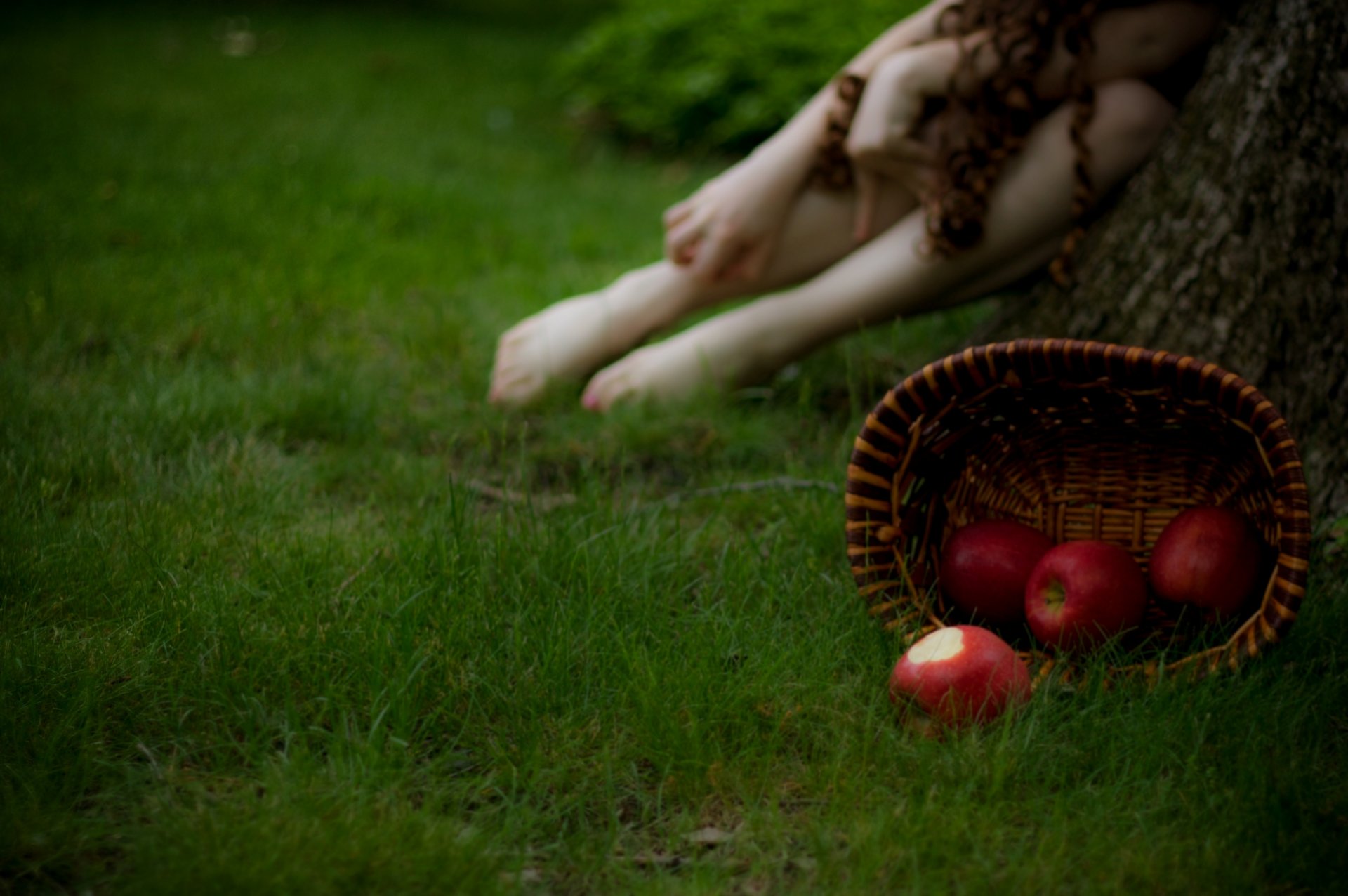 photo gros plan herbe panier pommes fond flou fille