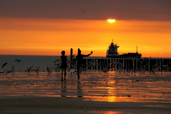 Coucher de soleil merveilleux, plage et vagues