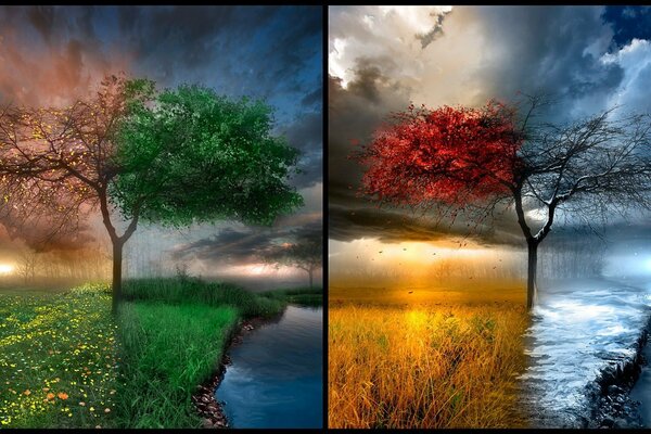 Saisons combinées sur deux tableaux