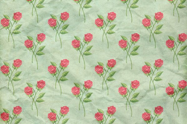 Fond d écran framboise fond vert