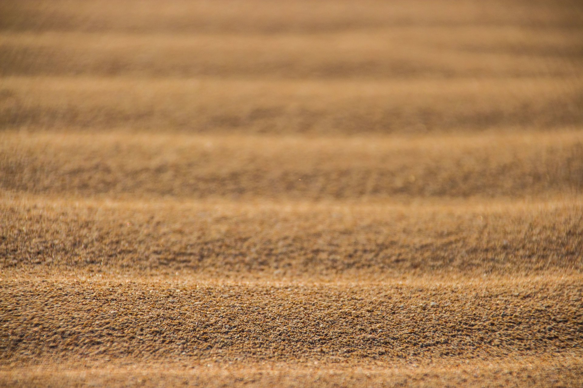 désert sable texture