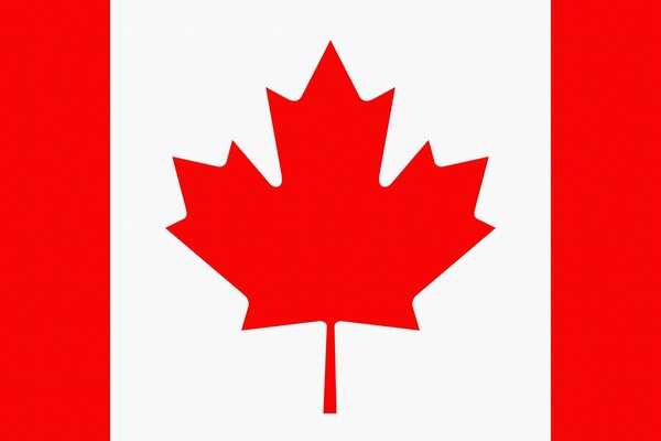 Drapeau du Canada avec feuille d érable