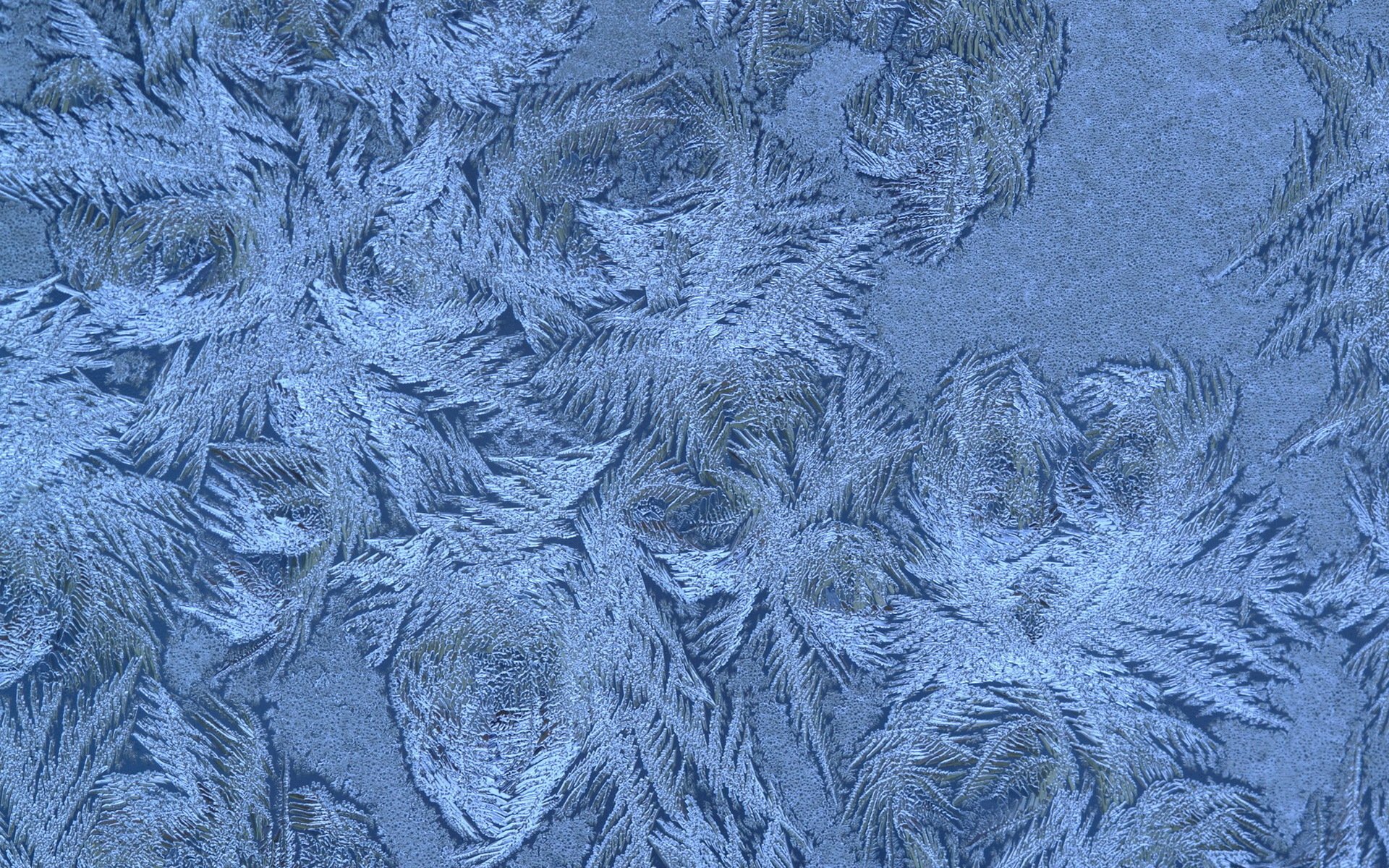 hiver flocons de neige motif