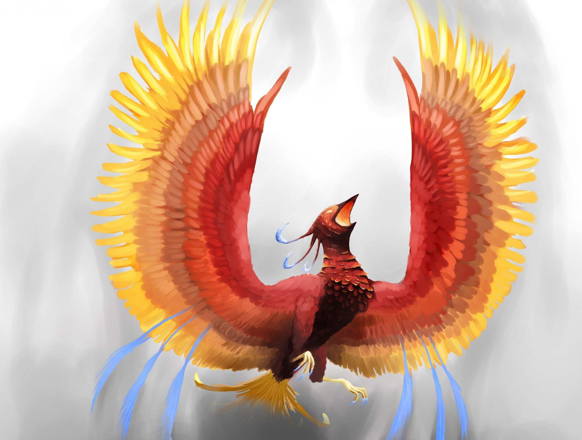fiction art oiseau de feu phoenix pépin vue ailes plumes feu fond