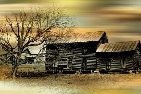 Maison de paysage dans le désert