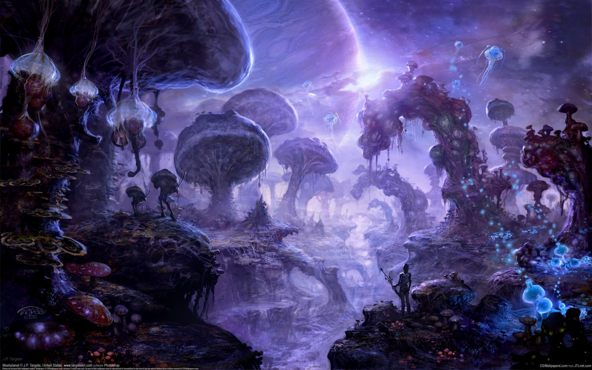 jp targete art champignons