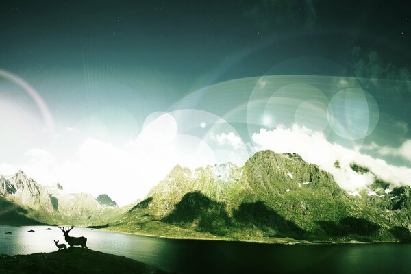 Cerfs sur fond de grandes montagnes, l eau et les nuages