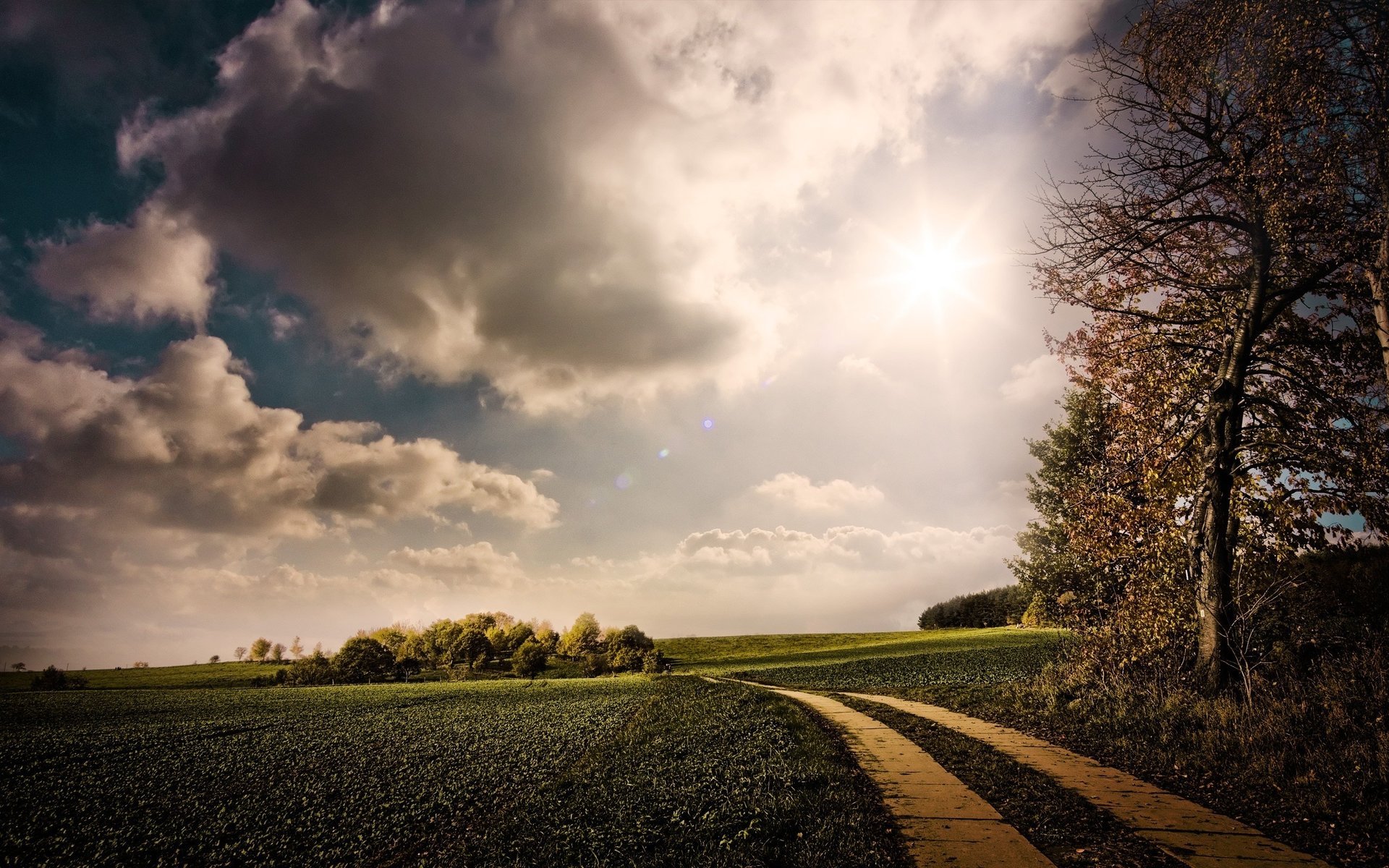 nature chemin montagne ciel nuages arbres