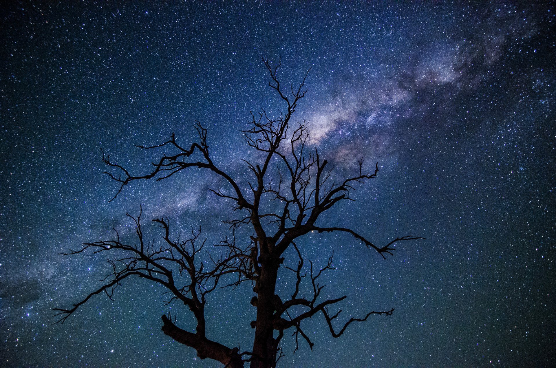 espace étoiles voie lactée nuit arbre