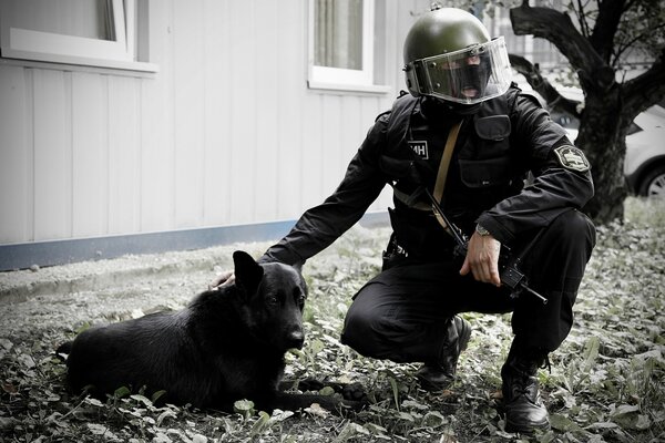 Un soldat caresse un chien couché