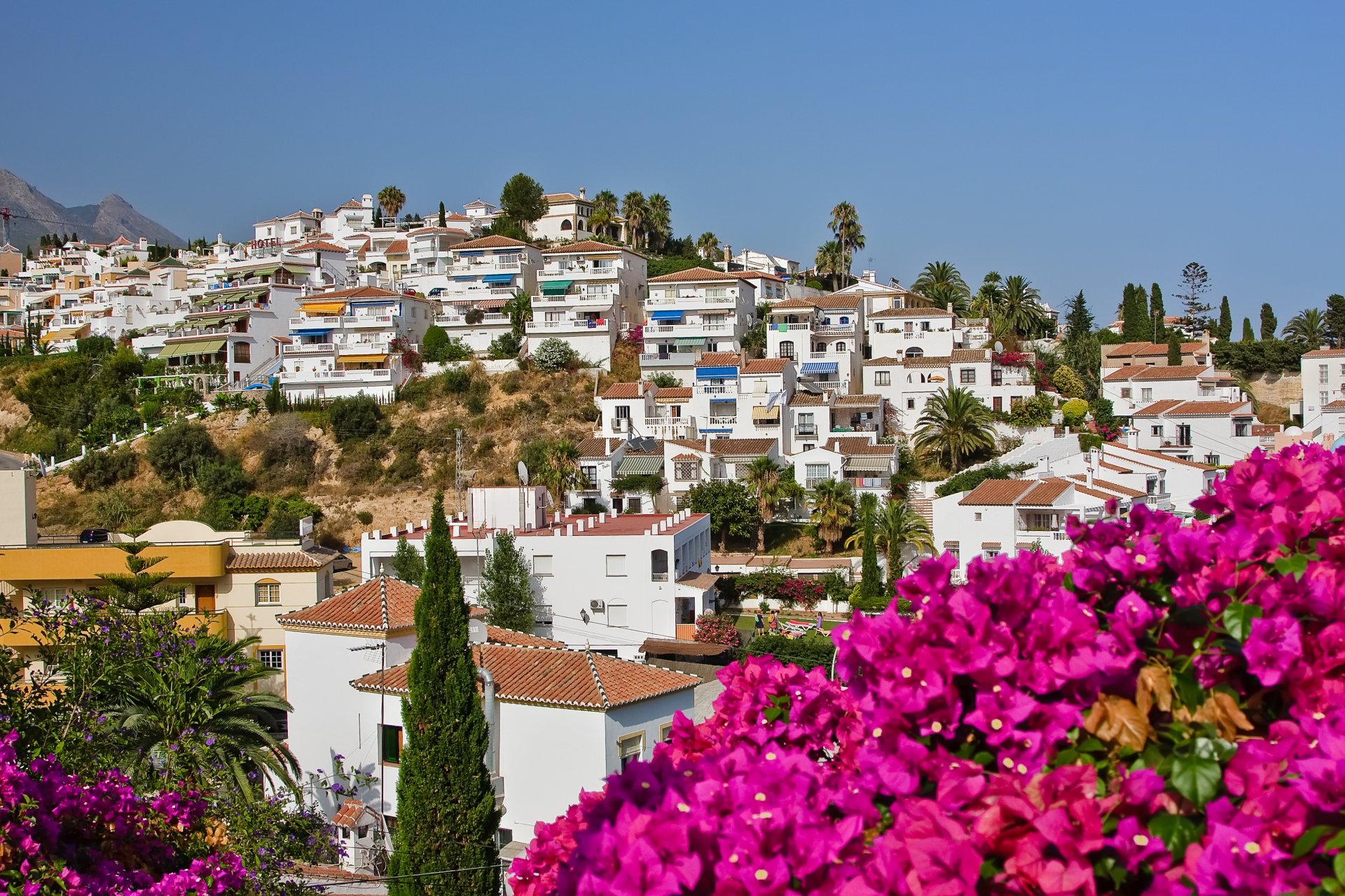 paysage espagnol nerja espagne fleurs maison ciel palmiers arbres nature ville arbres